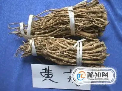 野生黄芪与人工种植黄芪的区别.优质