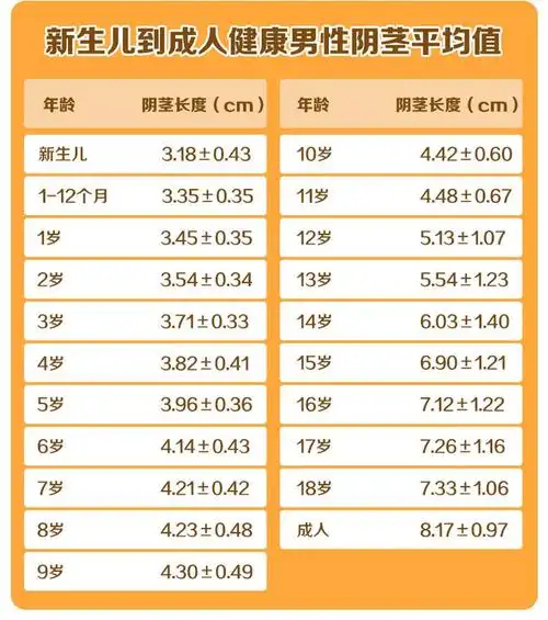 男孩jj多大才算达标丁丁尺寸国际标准来了男宝家长注意低于这个及格线