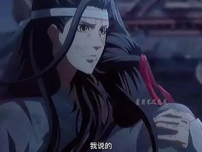 你们要的加长完整版#魔道祖师 #忘羡 #国漫 #魏无羡蓝忘机 #看一次哭