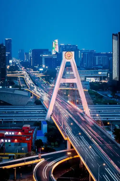 成都人南立交太阳神鸟