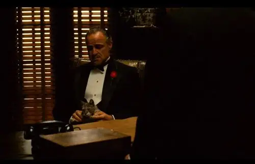 《教父》经典台词