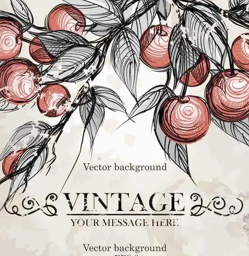 手绘水果图片平面广告素材免费下载(图片编号:1318347)-六图网