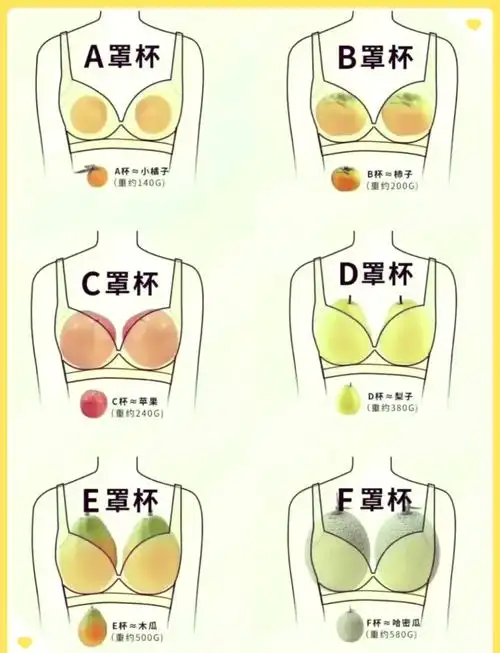 📐手把手教你如何测量胸围与罩杯