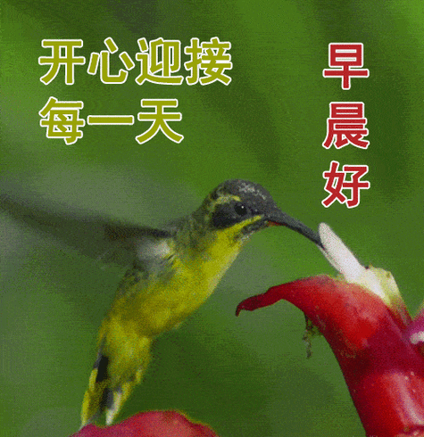 2022最新早上好祝福语图片带字最漂亮好看早上好问候朋友图片带字大全