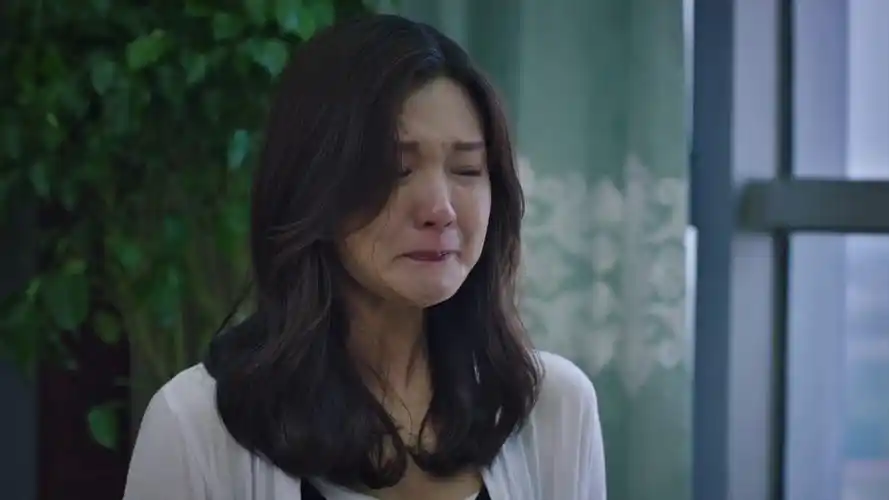 15万次播放           :35