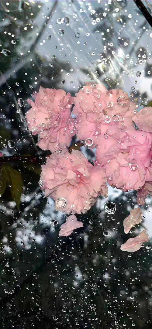 超清全面屏壁纸  03