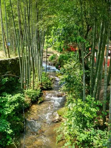 小桥清泉翠竹瀑布