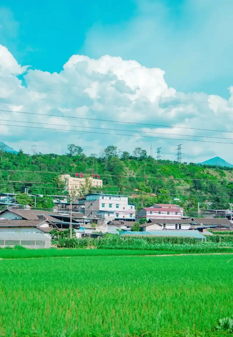 乡村,田野,蓝天,白云,夏天该有的样子#摄影 #治愈系风景  - 抖音