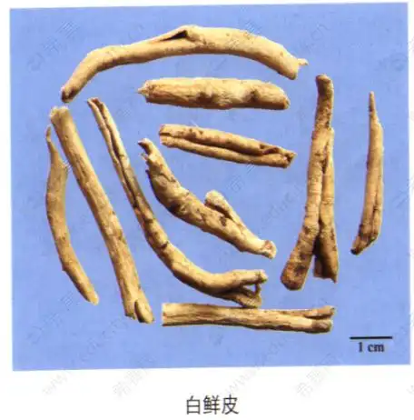 执业中药师考试之白鲜皮的记忆方法