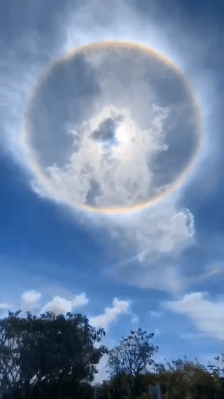 2020年最后一百天,日晕奇景你们拍到了吗?