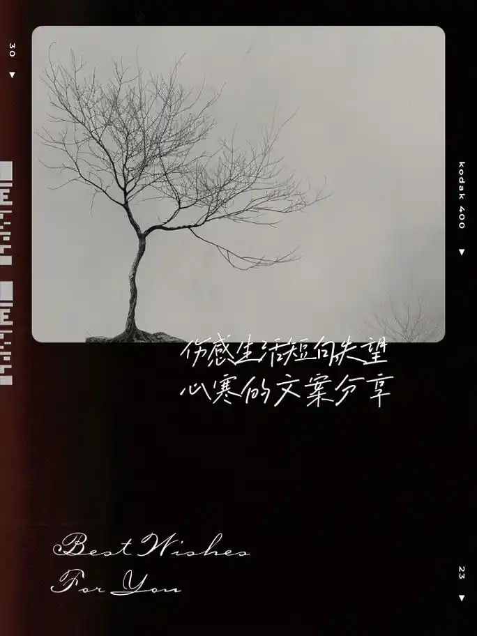 伤感生活短句,失望心寒的文案分享