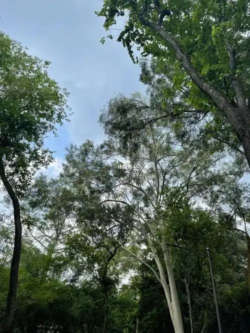 音乐是马常胜老师的专辑,非常平静舒服,特别是《无量