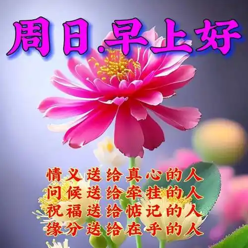 8月13日周日早上好,早安祝福语图片带字_心情_活力_阳光