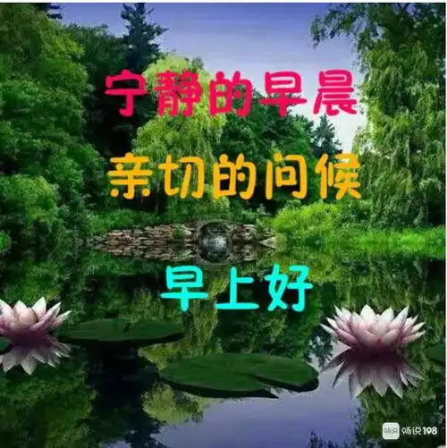新的一周从今天开始,大家早上好