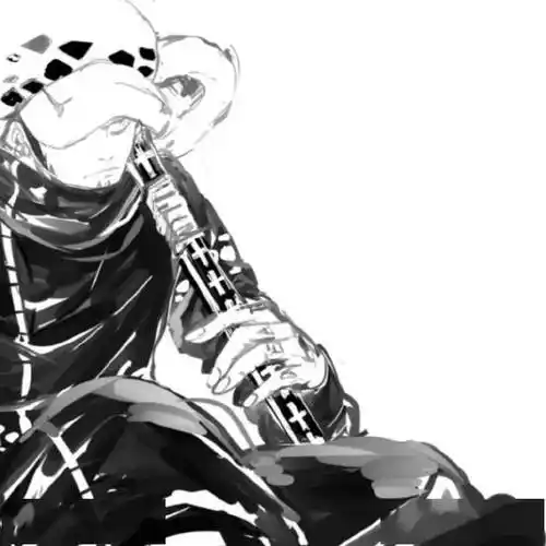 海贼王头像罗殿