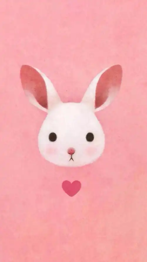 粉色 兔子 壁纸
