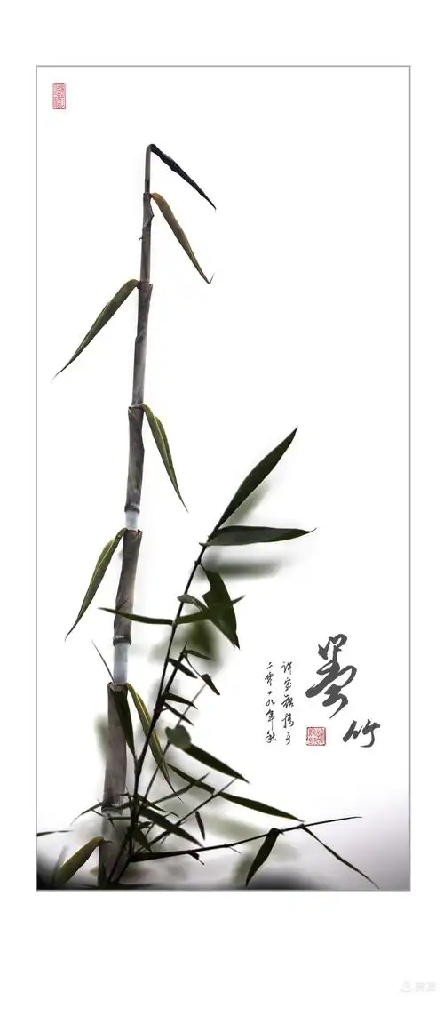 拍水墨竹子选景很重要,关键是要从茂密的竹丛中发现自己所要的