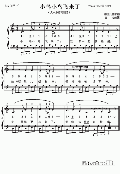 小鸟小鸟飞来了