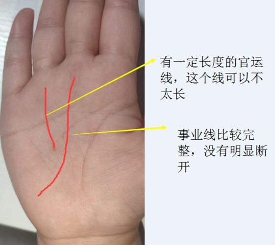 具备公务员特征的手相