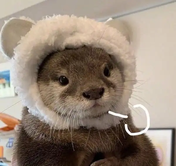 动物头像/可爱/沙雕/猫猫狗狗羊咩咩