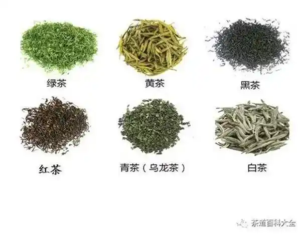茶叶有哪些种类都有什么特征