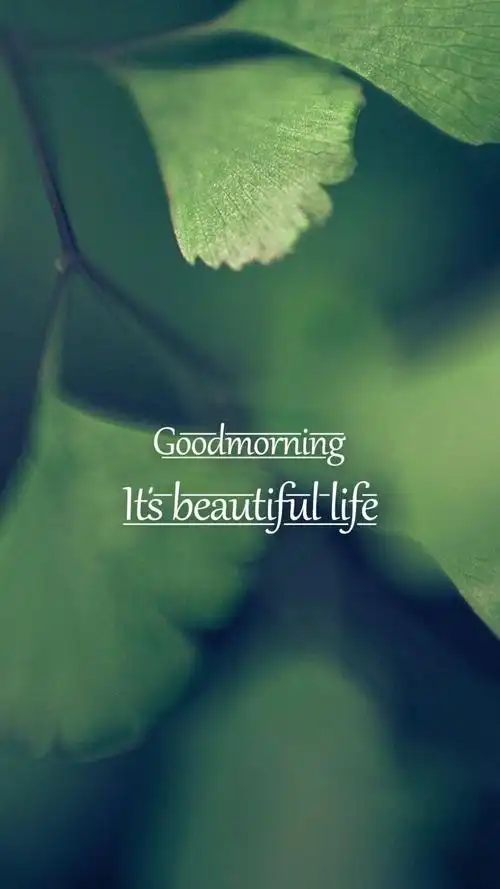 早安小清新英文锁屏