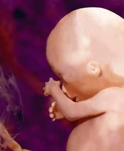 虽然宝宝在肚子里妈妈看不到他,但是却无时无刻都感受到他生命的跳动.