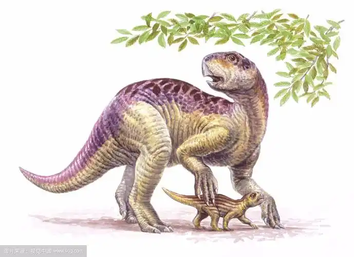 小勇士们,快来解救鹦鹉嘴龙!