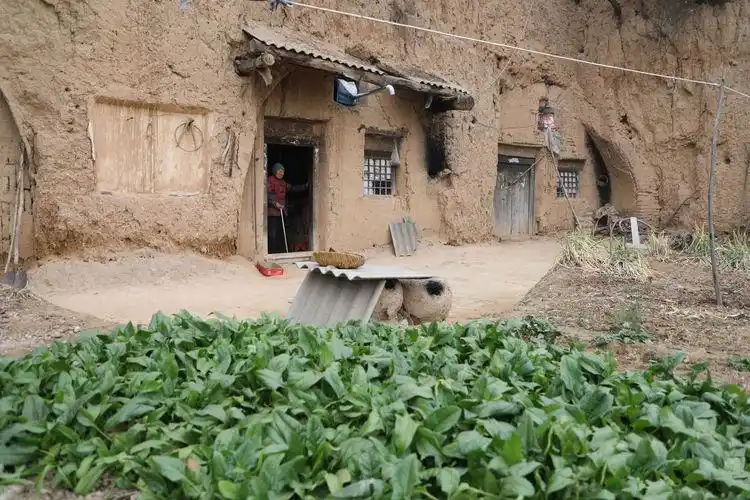 山西农村108岁网红老太太,整天喝酒打麻将,看她生活成啥样