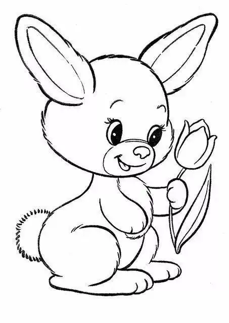 50例动物简笔画高清线稿资料