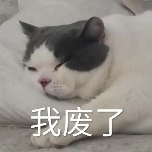 来自蓝白星球的的行走的表情包