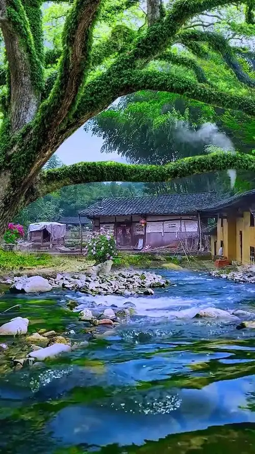 待我了无牵挂,从此归隐天涯,深山草屋为家,远离尘世繁华,忙时修篱种花