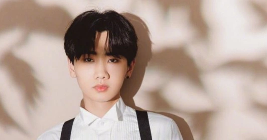 汪苏泷年收入多少请汪苏泷写歌多少钱