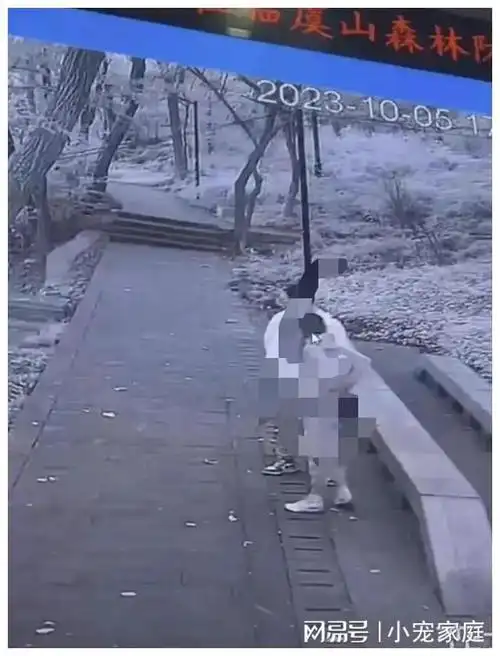 公园一对男女野战现场惊现多人围观