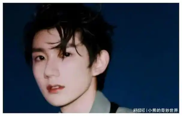 王源音乐梦想家才华与担当并行的璀璨星辰