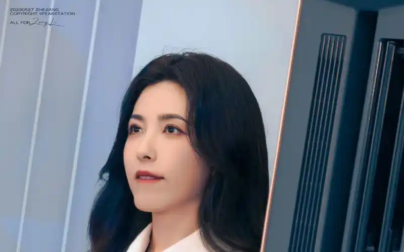 曾黎【二十六】