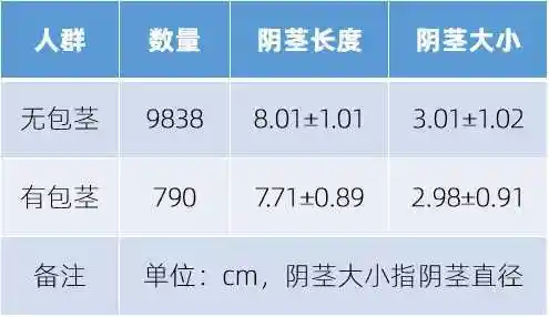 男性阴茎最晚发育什么时候?