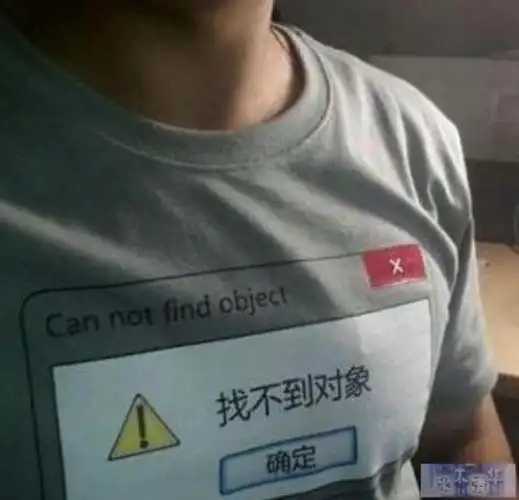 今天在公司听到一句惨绝人寰骂人的话:"你tm就是一个没有对象的野指针