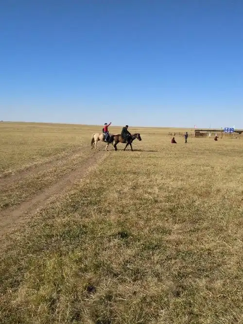 蒙古的呼伦贝尔大草原,辽阔的草原,蓝天白云,洁白的蒙古包,和牛羊群