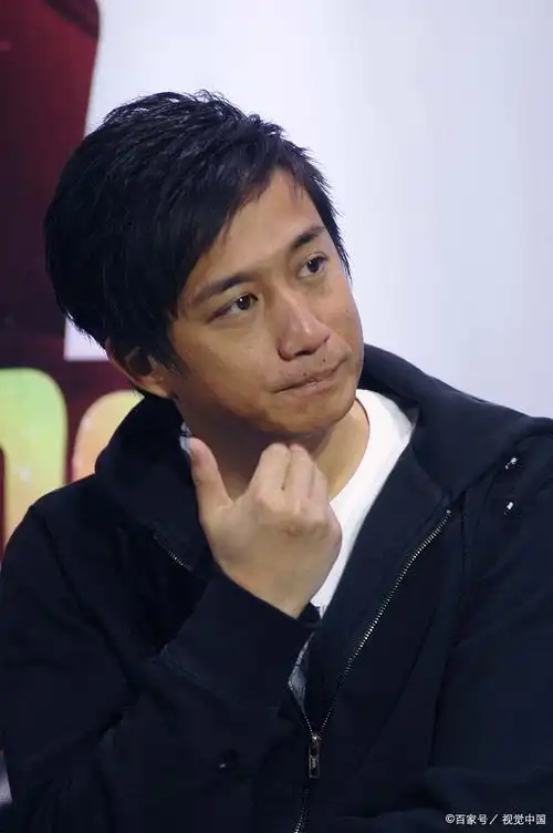 黄磊,这个名字曾在影视圈里犹如一颗闪耀的明星.