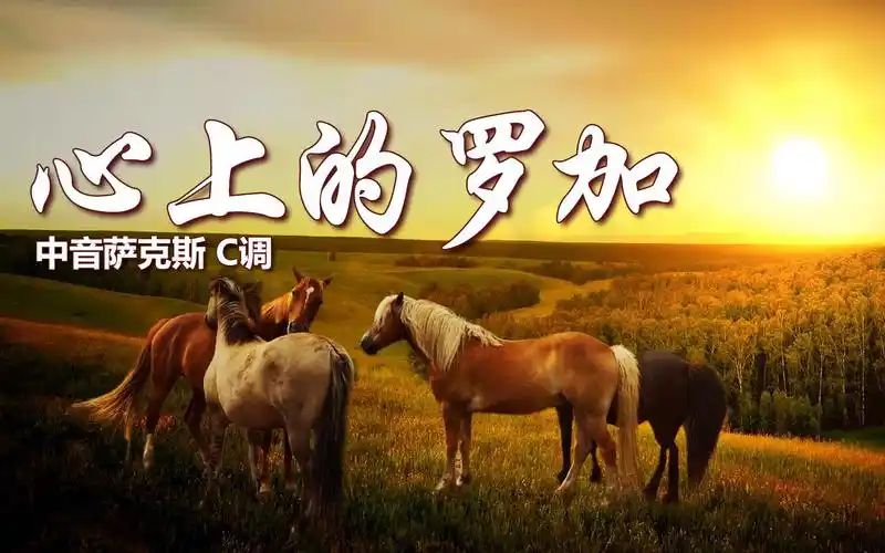 经典歌曲心上的罗加深情婉转旋律动听萨克斯演奏韵味十足