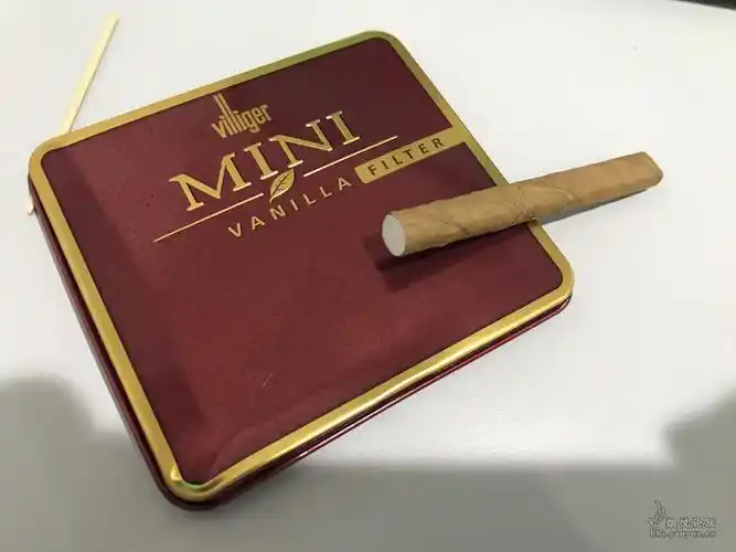 villiger mini 雪茄不知道各位有木有什么心得