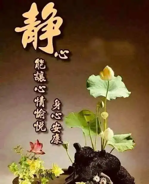 宅家静等花开(十三)