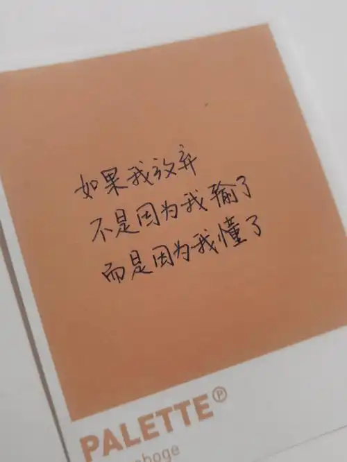 手写打卡77丨如果我放弃了是因为我懂了