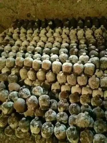 贵州茅台洞藏老酒1斤装-sm160