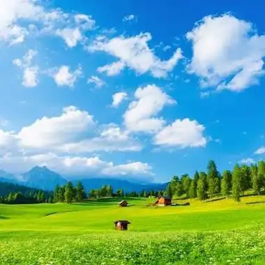 创业团队目标和口号