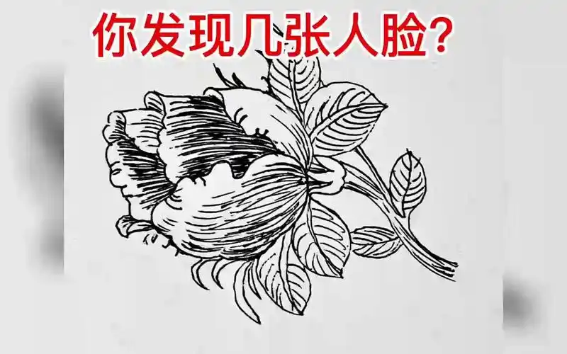 花中隐藏几张人脸?发现1-2很差,3-4不错,5-6张绝对是牛人