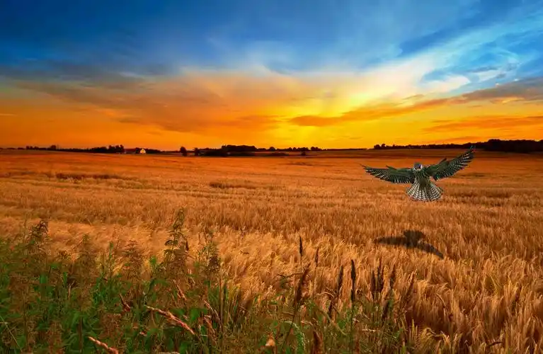 photoshop cc 寒假作业