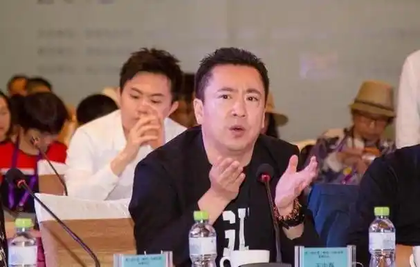 从天之骄子到负债68亿王中磊的失败是吃了女明星的亏