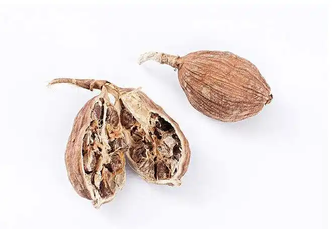 草果-采收存储_药理作用_用法用量-农语网